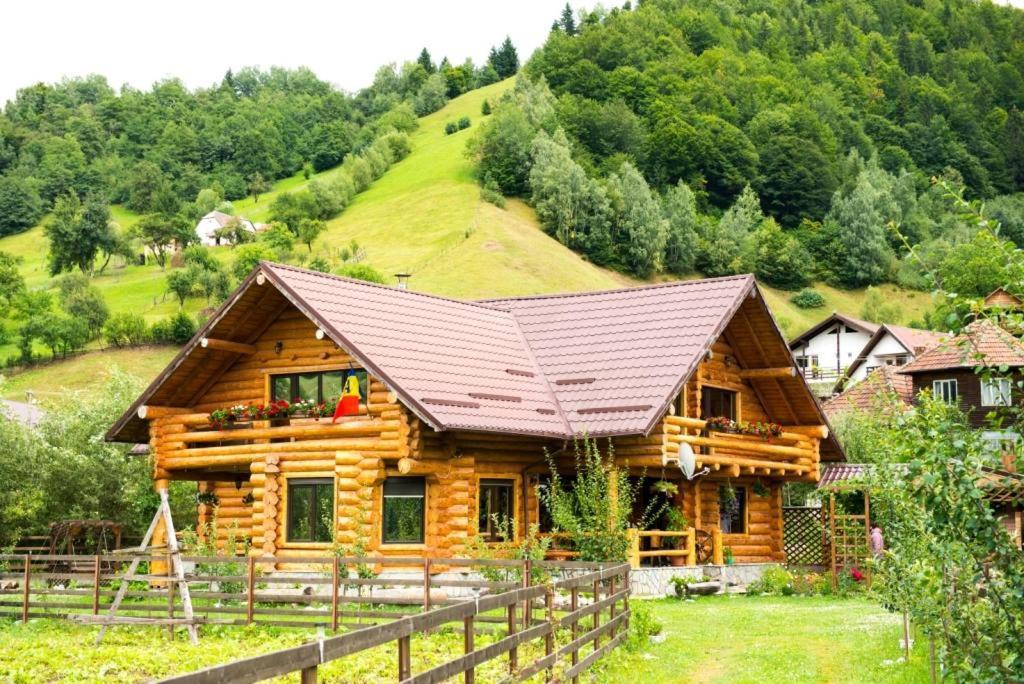 The Lodge Moieciu de Jos Exterior photo